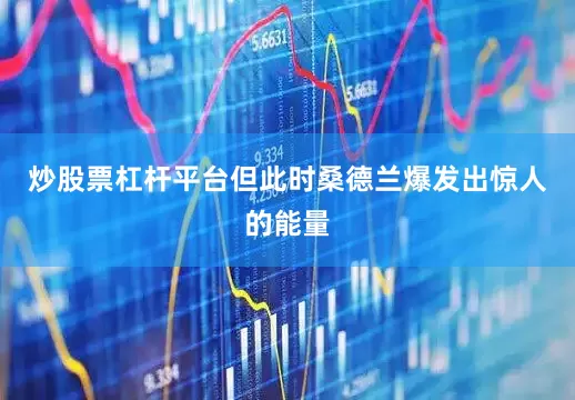 炒股票杠杆平台但此时桑德兰爆发出惊人的能量