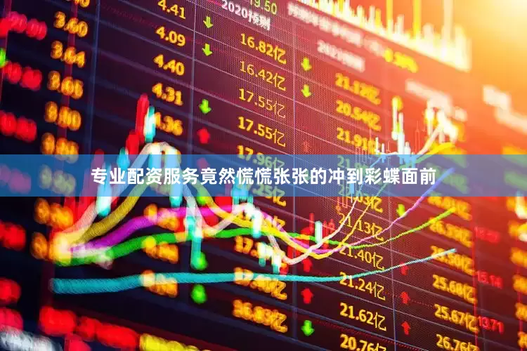 专业配资服务竟然慌慌张张的冲到彩蝶面前